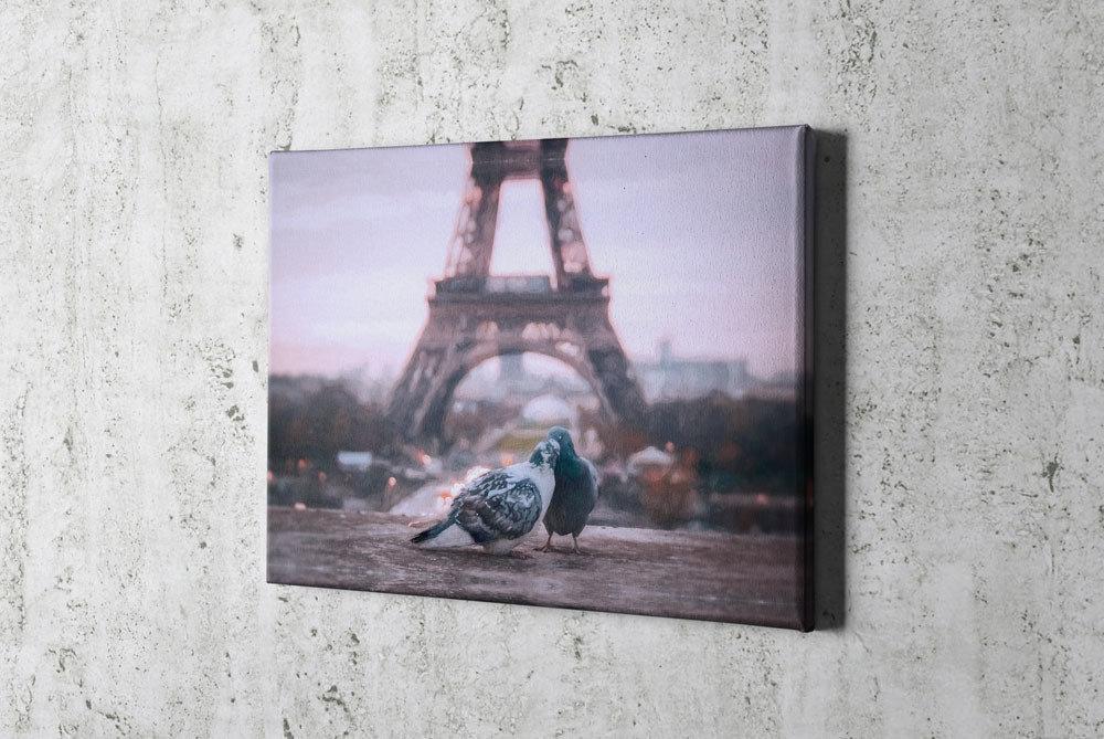 طيور باريس - lo7ate لوحاتي